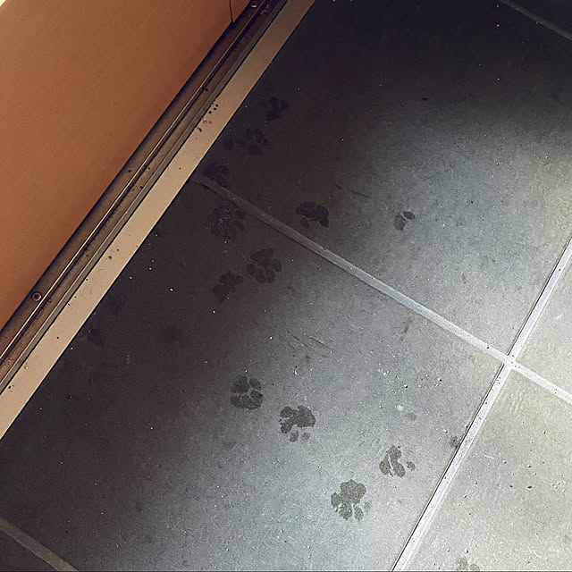 uninekoさんの実例写真