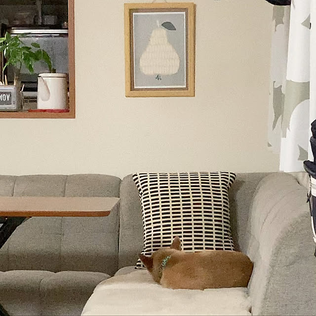 nyaromeさんの実例写真