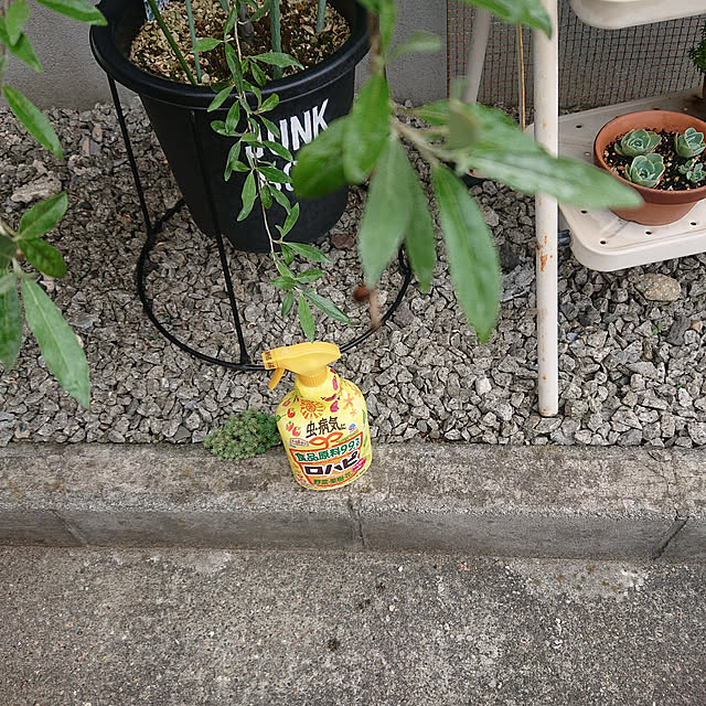 tikuwaさんの実例写真