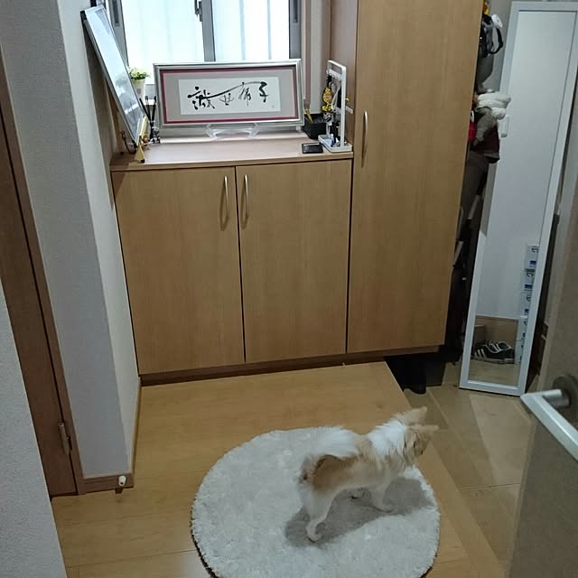 Akikoさんの実例写真