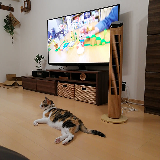 Naomiさんの実例写真
