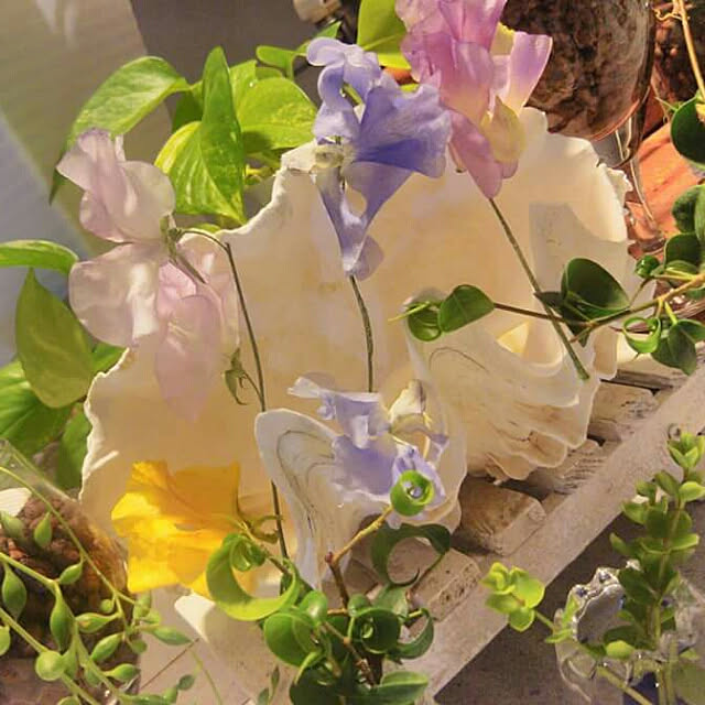 ami.majoさんの実例写真