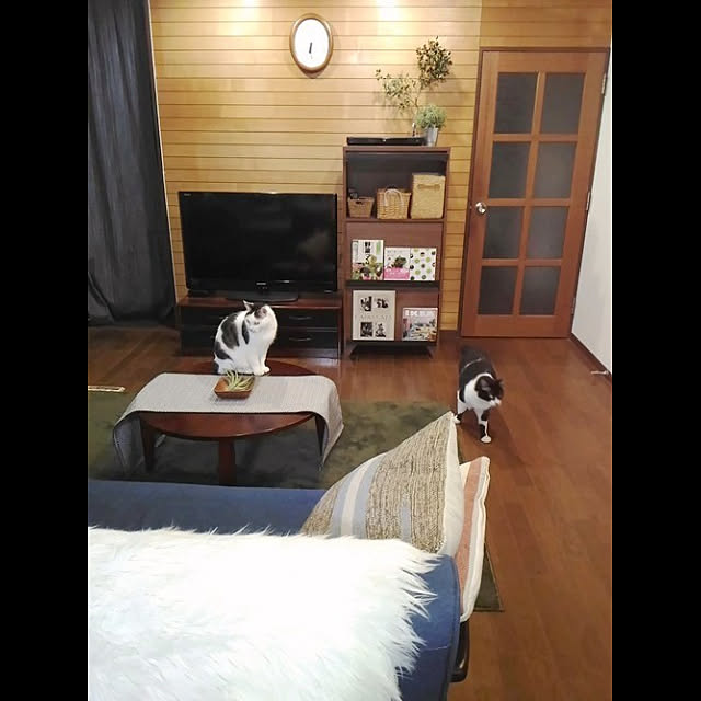 cacaoさんの実例写真