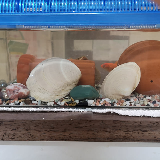 ketayuさんの実例写真