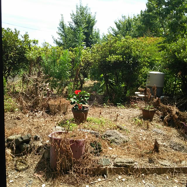 tetuさんの実例写真