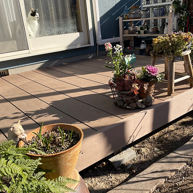 nobikoさんの部屋