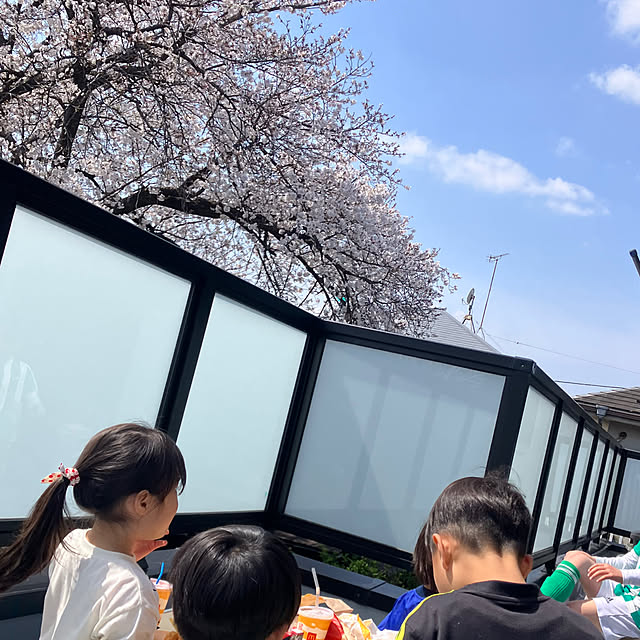 実例写真