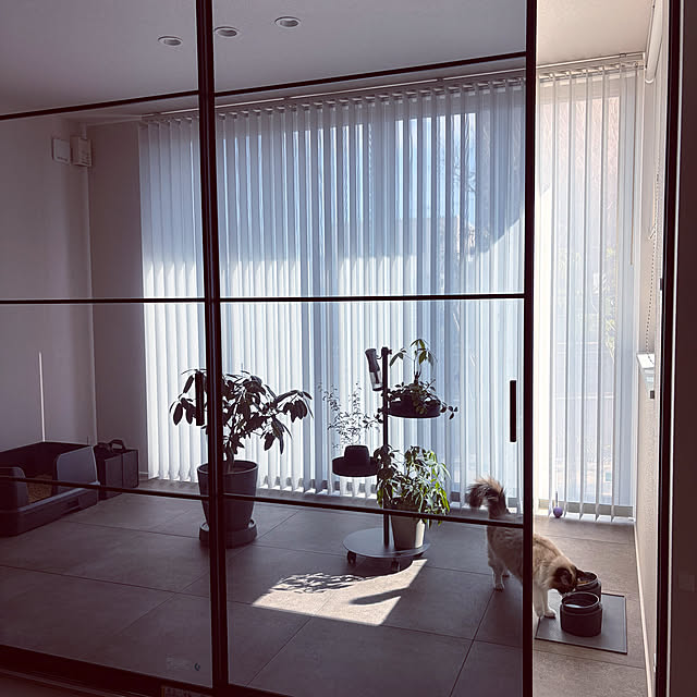 m.e.a.sさんの実例写真