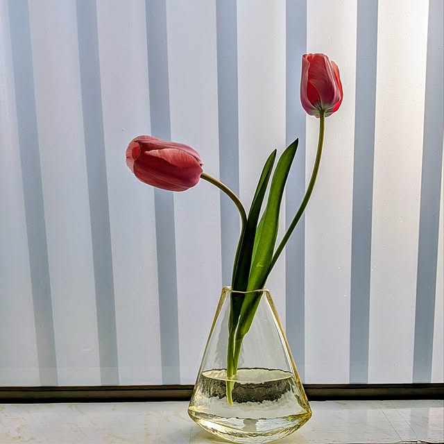 Renさんのお部屋の写真