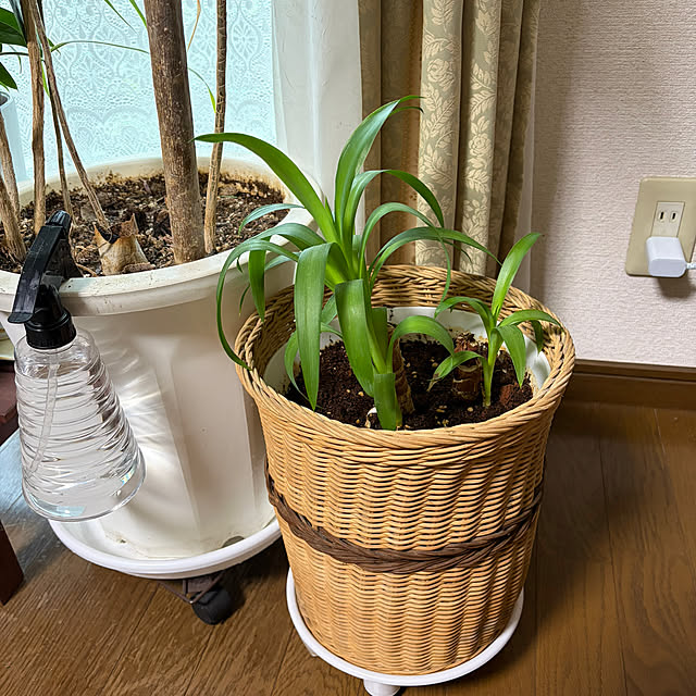ritsukoさんの部屋