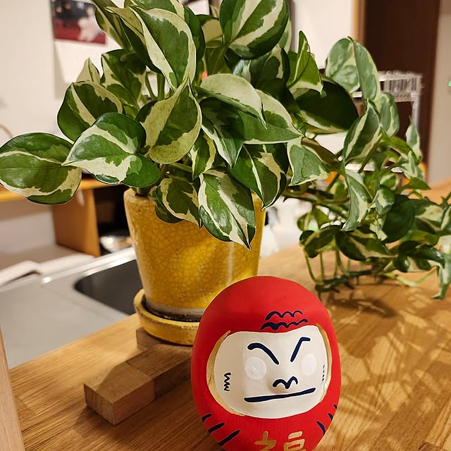 go-chanさんの実例写真