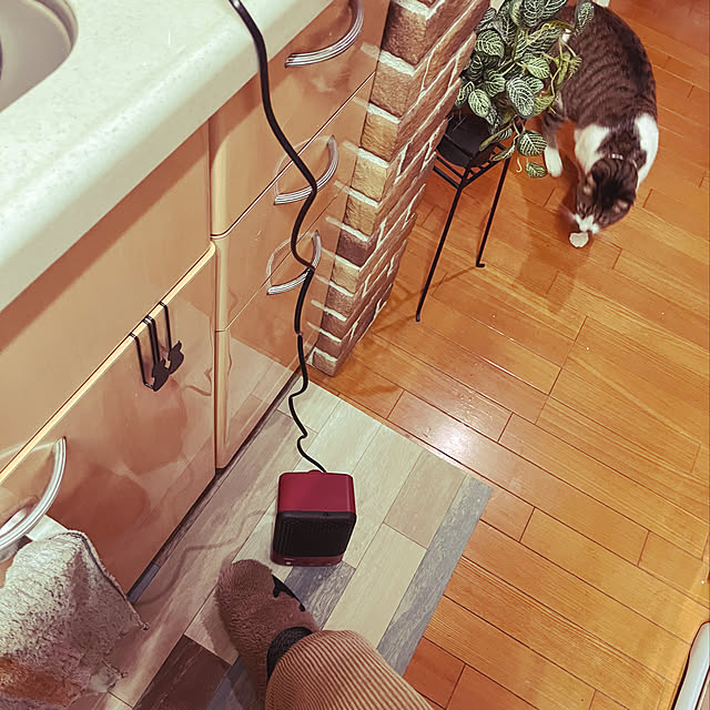 jijiさんの実例写真