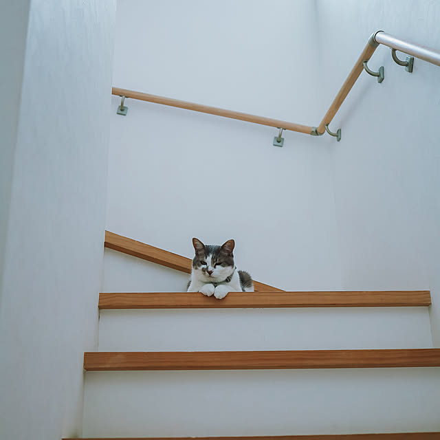 comiriさんの実例写真