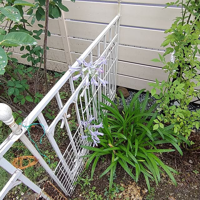 Bienvenueさんの部屋