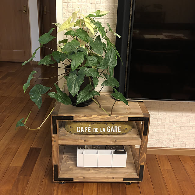 リビング/観葉植物/男前/DIY/無印良品のインテリア実例 - 2018-04-09 19:48:11