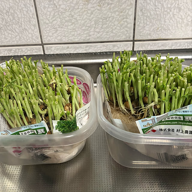 実例写真