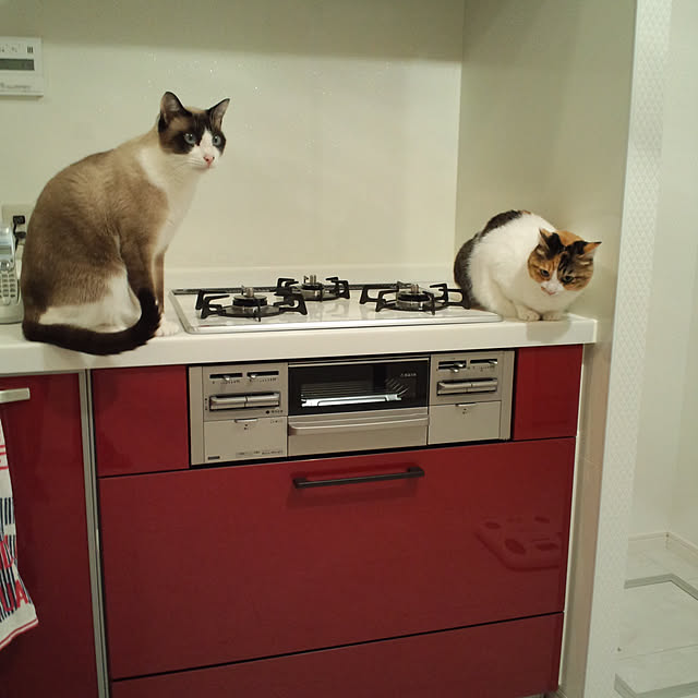 officek2.k808さんの実例写真