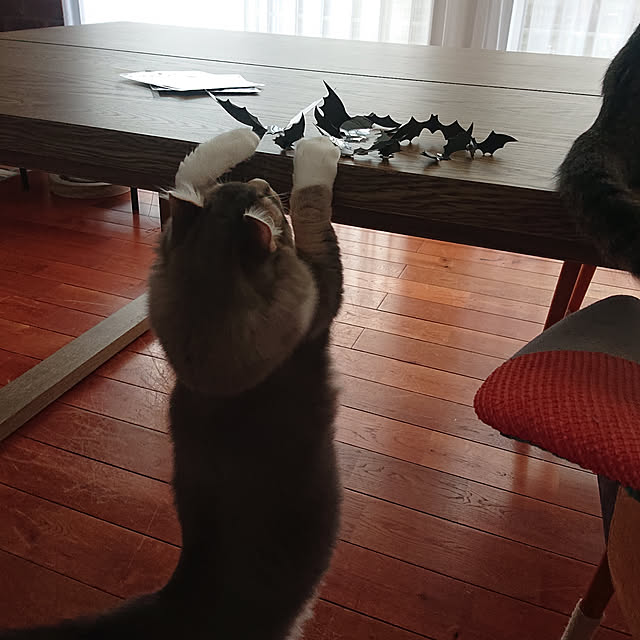 kerottoさんの実例写真