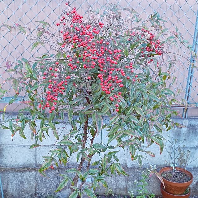 hiro.904さんの部屋