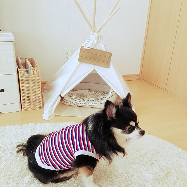 m.m_2009さんの実例写真