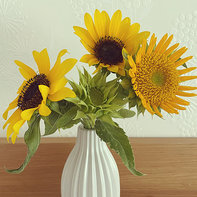 zmzmさんの実例写真