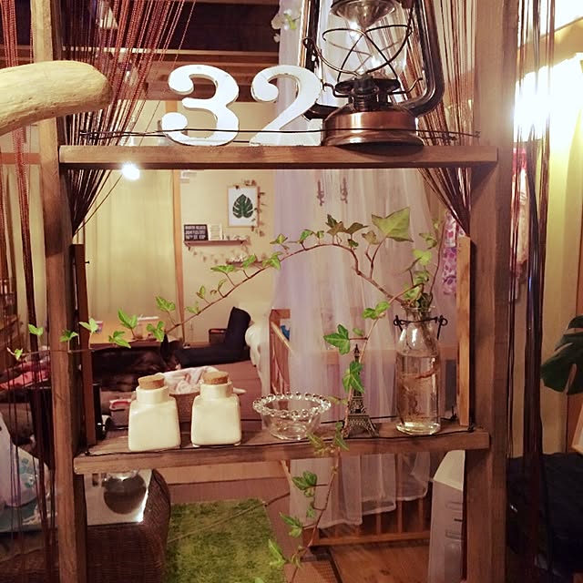 キッチン/DIY/セリア/観葉植物のインテリア実例 - 2015-10-25 14:48:50