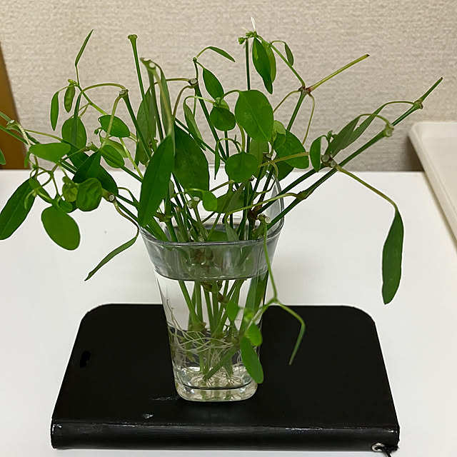 maron915さんの部屋