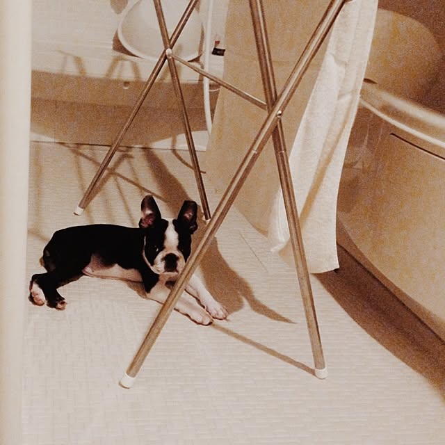 SAYN508さんの実例写真