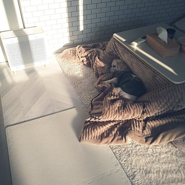 yukagomaさんの実例写真