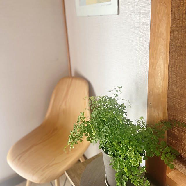 rookuさんの部屋