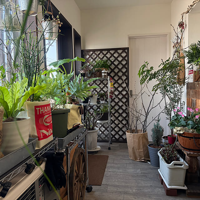 openaim2さんの実例写真