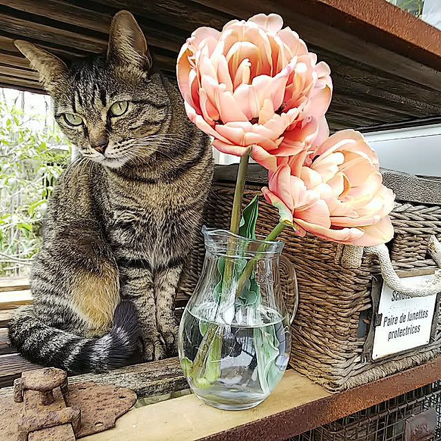 weさんの実例写真