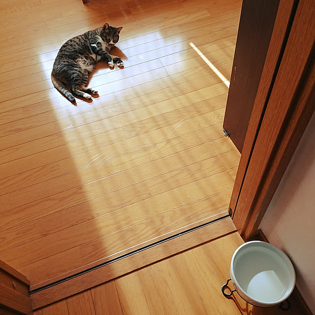 nachiさんの実例写真