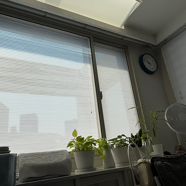Rainyさんの部屋
