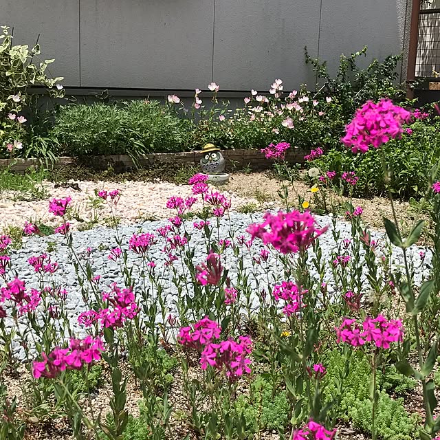 portulacaさんの実例写真