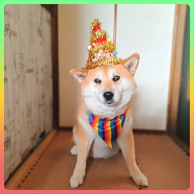 nanaさんの部屋