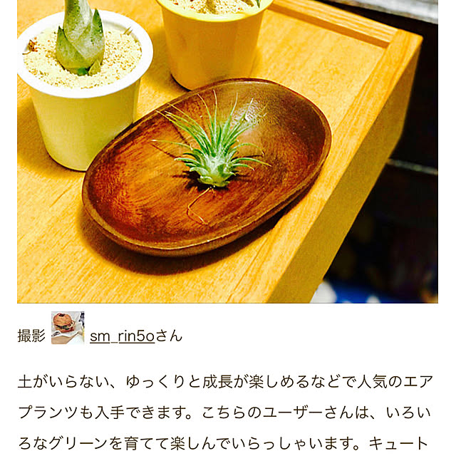 sm_rin5oさんの実例写真
