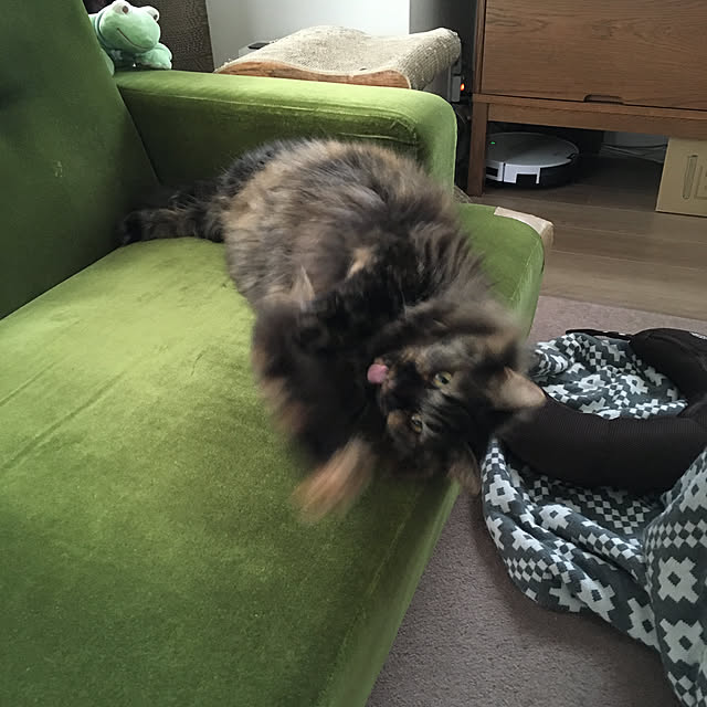 mikomaruさんの実例写真