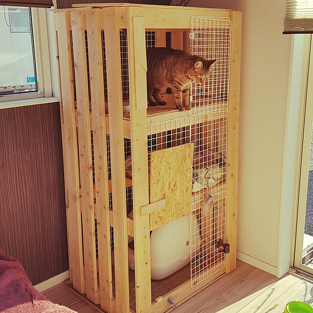 uni630さんの実例写真
