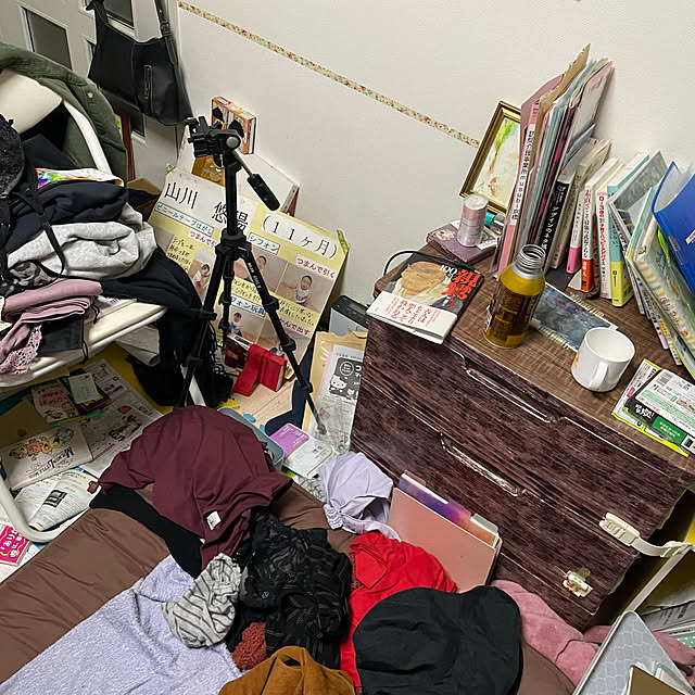 実例写真