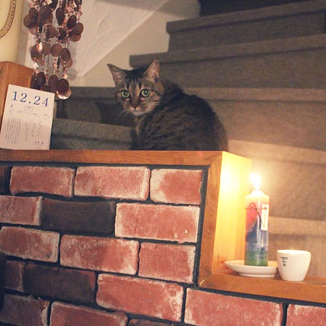 saron17さんの実例写真