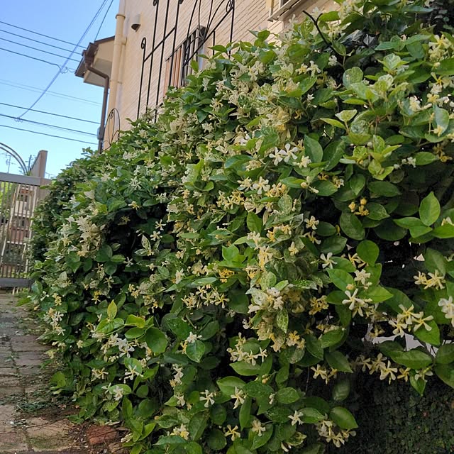 ryo.kotaさんの実例写真