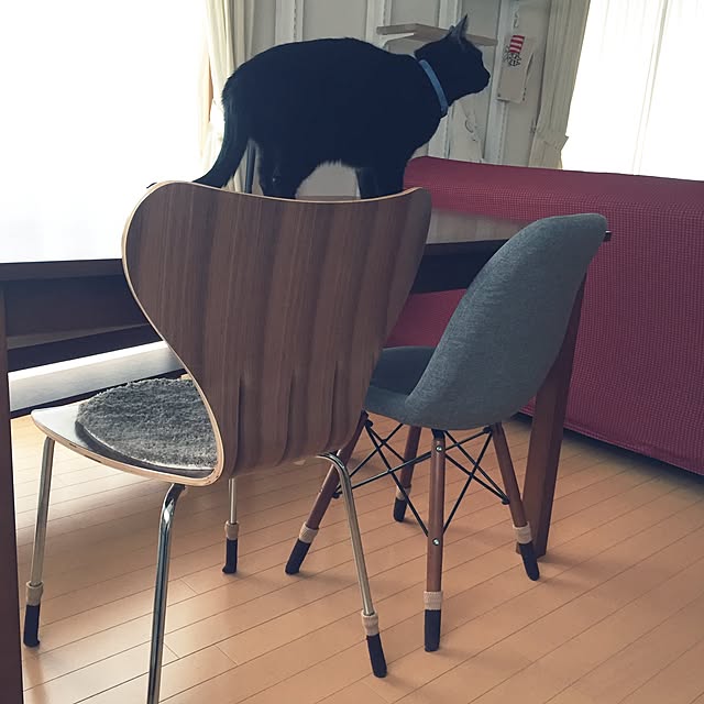 yuki0511さんの実例写真