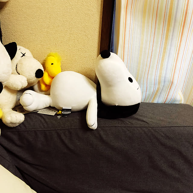 trs623さんの実例写真