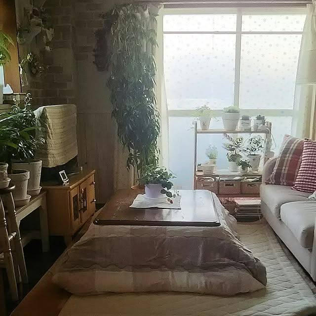 naopyiさんの実例写真