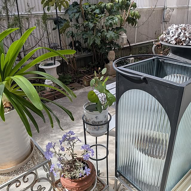 acocoさんの実例写真