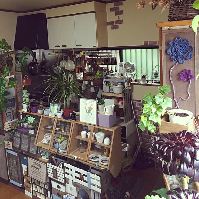 Norikoさんの実例写真