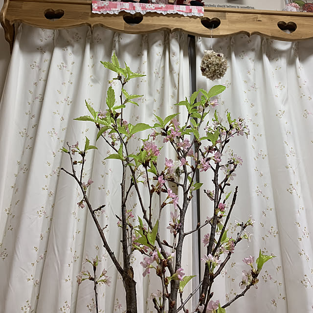 makiさんの実例写真