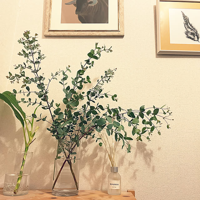 marie.kgsgさんの実例写真