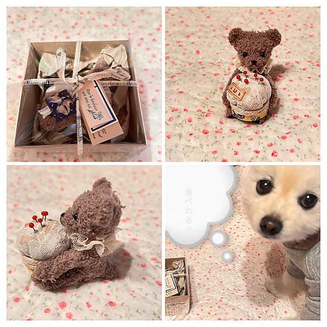 akaidarumaさんの実例写真